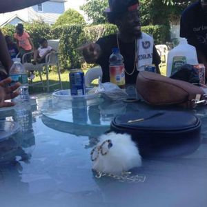 Meet your Posher, Daeshon